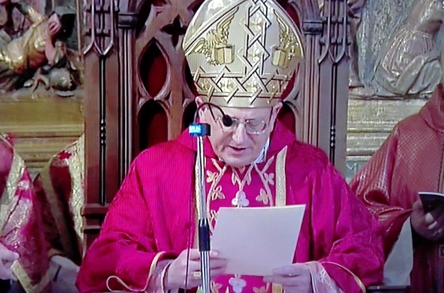 Cardenal Angelo Amato.